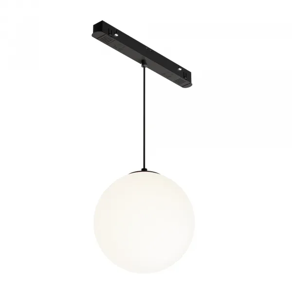 Track pendant lamp TR039-2-5W4K-1