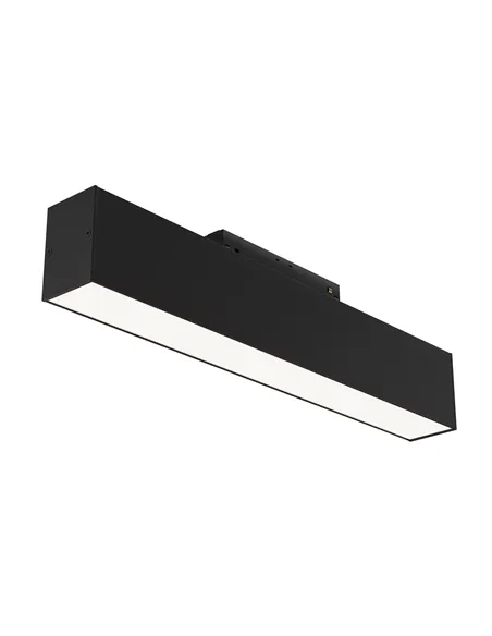 Track Lighting TR012-2-12W4K-B