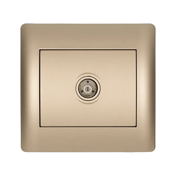 RHYME TV SOCKET CHAMPAGNE METALLIC