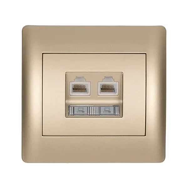 RHYME COMPUTER SOCKET (DOUBLE) CHAMPAGNE METALLIC