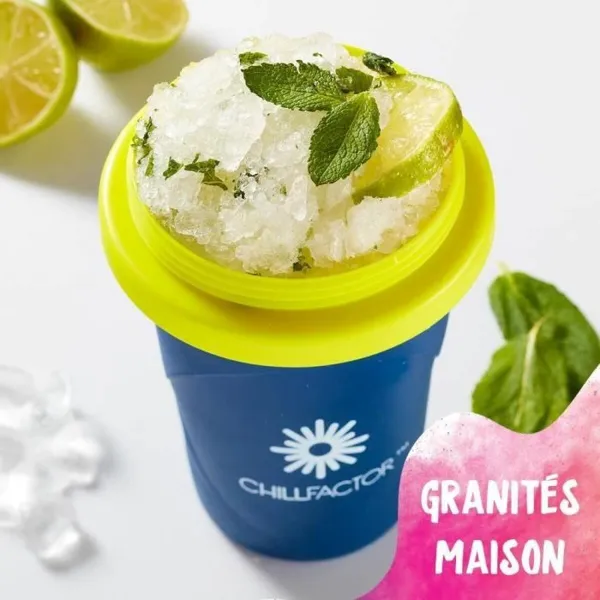 Стакан для мороженого и смузи с рецептами Bandai Chillfactor Granita Mug Rose Пластик