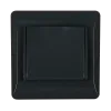 EL1629 PANEL WITH COVER PLATE FOR GERMAN TYPE SOCKET BLACK