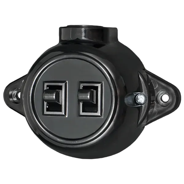 ANTIQUE TWO BUTTON ONE WAY SWITCH 10А 250V BLACK