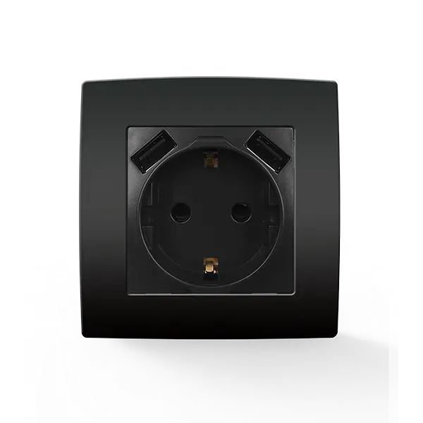 CITY GERMAN TYPE SOCKET WITH SCREW+ 2 USB ANTHR.