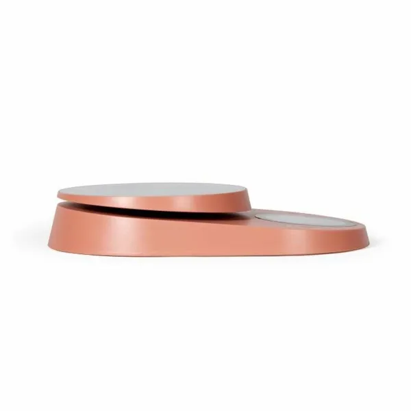 kitchen scale Livoo