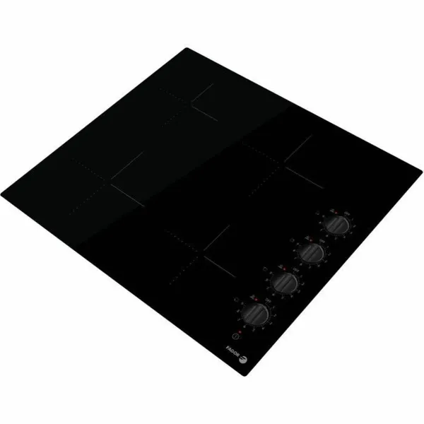 Lasikeraaminen keittolevy Fagor FAVM3540 6000 W