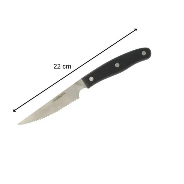 Peilių rinkinys Nirosta Nerūdijantis plienas 4 Dalys