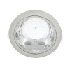 GL202E DOWNLIGHT SATIN NICKEL 2XE27