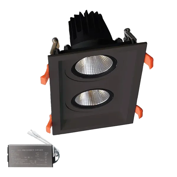 DOUBLE LED MOVABLE SPOT LIGHT 2X30W 230V 4000K BLACK