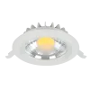 RDLCOB LED DOWNLIGHT 25W 2700K-3000K 230V WHITE