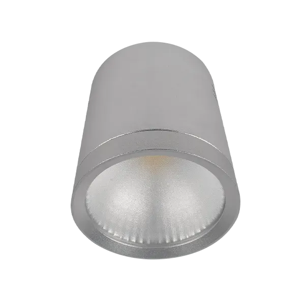 LED DOWNLIGHT RDLCOB 20W 230V 2700K 60° SILVER