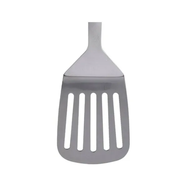 Skimmer San Ignacio S5001125 Stainless steel Silver