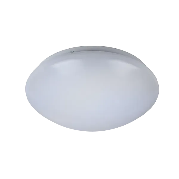 LED CEILING FIXTURE LITE 12W SMD5730 D250