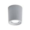 LIVIA 90 LED CEILING LAMP 6W CCT IP55 GREY