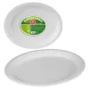Plokštelių rinkinys Best Products Green Cukranendrės ø 32 cm Biologiškai skaidomas Vienkartinis 25 vnt.