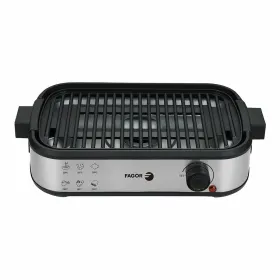 Электробарбекю Fagor 1800 W