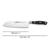 Нож Сантоку Arcos serie riviera Чёрный Сталь Полиоксиметилен 18 cm