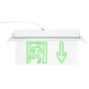 AL3116 - LED EMERGENCY LIGHT PLASTICBOARD DOWN ARROW