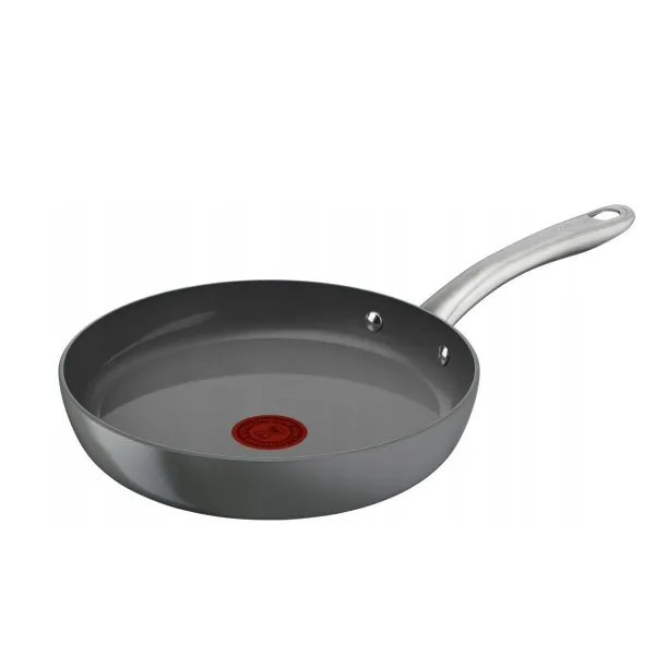 Pan Tefal C4240443 Silver Ceramic Ø 24 cm
