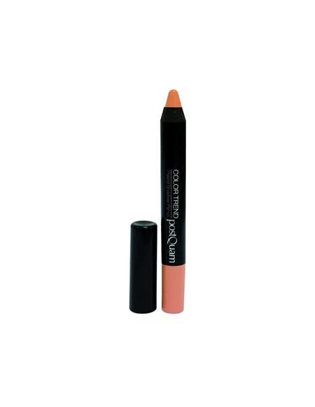 Eyeshadow Postquam Color Trend Nº 10 Pastel Camel 10 g Stick