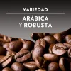 Coffee Capsules Lavazza 08667 Espresso Intenso 10 Capsules