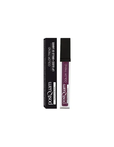 Lip-gloss Postquam Color Trend Violet 6 g