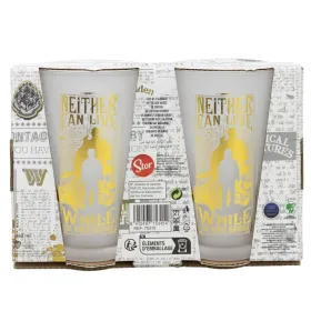 Harry Potter - Set of two glasses in a decorative box from the Golden Magic collection 490 ml