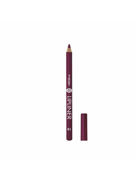 Lip Liner Deborah Clasico 12 1 L