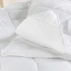 Peitto HappyFriday Basic 100 x 120 cm 120 + 250 g/m² (2 Kappaletta)