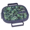 Quokka Kai - Stainless Steel Food Container/Lunchbox (Blueberry)