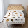 Pussilakana ilman täytettä HappyFriday Mr Fox Cats Monivärinen Sänky 80/90 2 Kappaletta