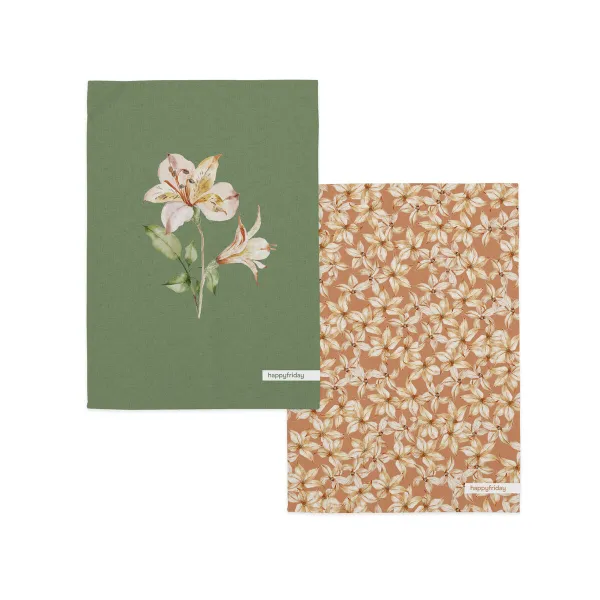 Keittiöliina HappyFriday HAPPYFRIDAY Monivärinen 70 x 50 cm (2 Kappaletta)
