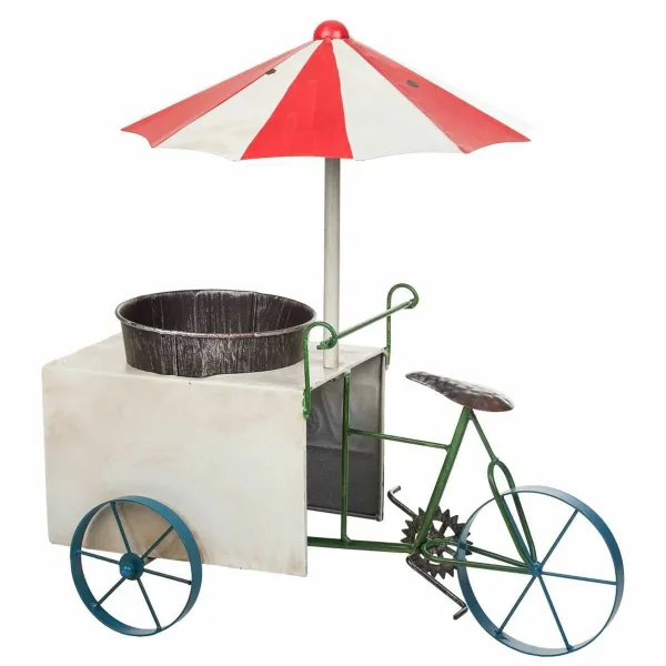 Kasvit Alexandra House Living Tricycle Rauta 34 x 52 x 49 cm