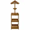 Counter Display Alexandra House Living Fir wood 50 x 165 x 62 cm Shelves 4 Shelves