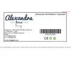Bench Alexandra House Living Grey Polyurethane Rubber wood 40 x 47 x 80 cm