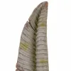 Декоративная фигура Alexandra House Living Лист 17 x 61 x 17 cm
