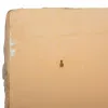 Glezna Alexandra House Living 67 x 14 x 53 cm