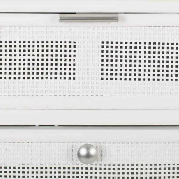 Apavu skapis Alexandra House Living Balts 32 x 120 x 70 cm Grills