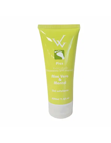 Foot Exfoliator Walkiria Aloe Vera Menthol (220 ml)