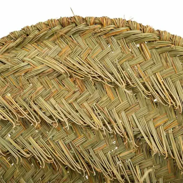 Lastenvaunut Alexandra House Living Esparto-ruoho 37 x 40 x 66 cm