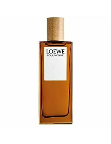 Men's Perfume Loewe EDT 100 ml