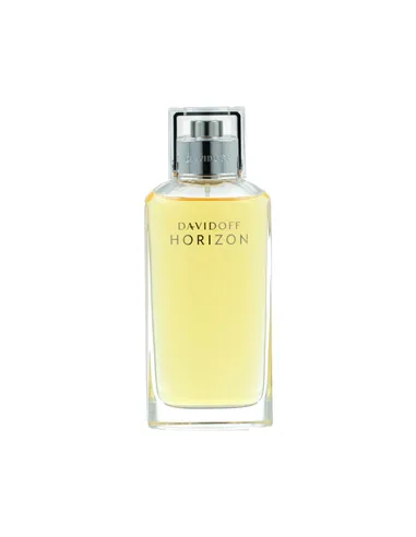 Men's Perfume Davidoff Horizon EDT 125 ml