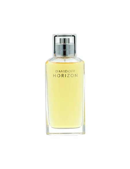 Men's Perfume Davidoff Horizon EDT 125 ml