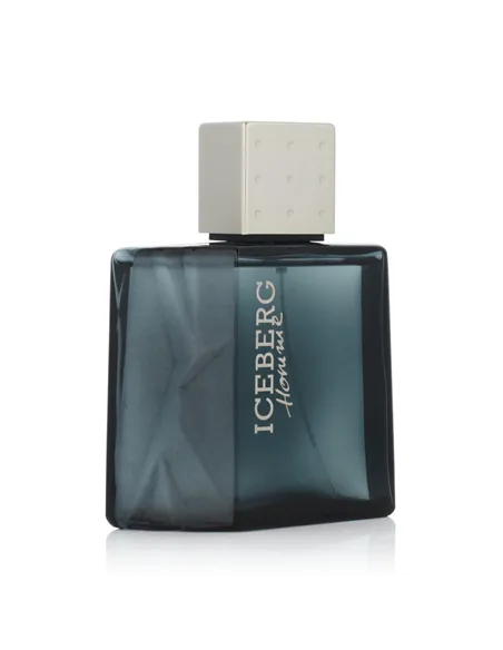 Men's Perfume Iceberg EDT Homme (100 ml)