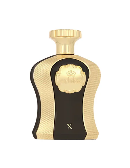 Men's Perfume Afnan EDP Highness X 100 ml