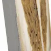 Maalaus Alexandra House Living Nature Kangas Kuusi 100 x 3 x 50 cm