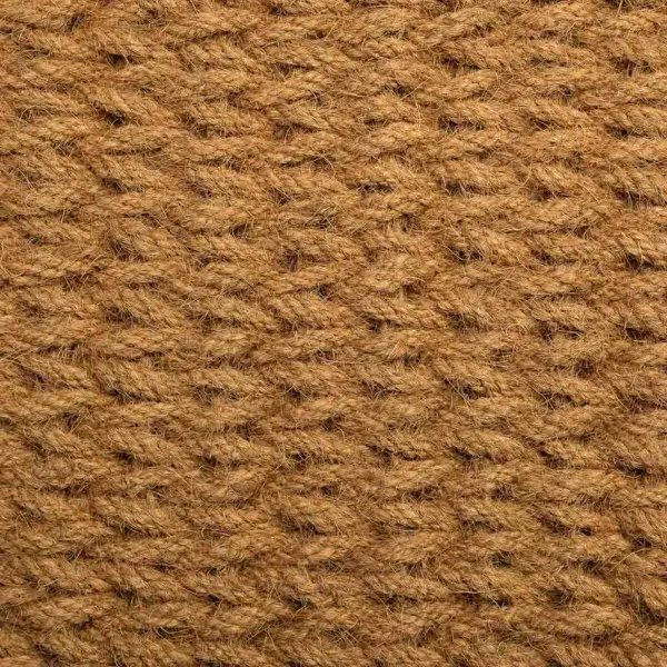 Дверной Коврик Alexandra House Living Натуральный Кокосовое волокно 3 x 90 x 60 cm