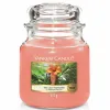 Aromātiska svece Yankee Candle The Last Paradise