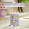Lõhnastatud küünal Yankee Candle 1629970E
