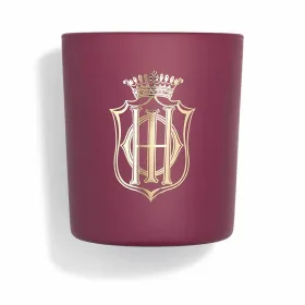 Ilmanraikastin Sisley Bougie 400 g